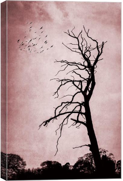 Bare Tree Canvas Print by Svetlana Sewell