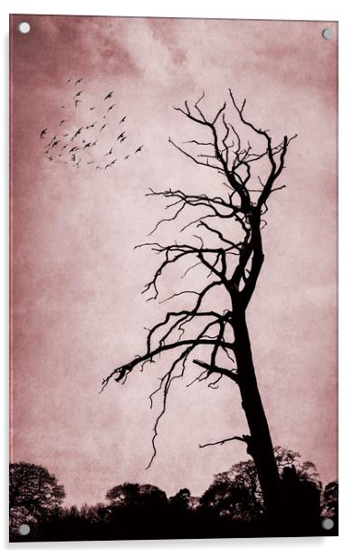  Bare Tree Acrylic by Svetlana Sewell