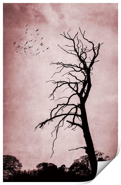  Bare Tree Print by Svetlana Sewell