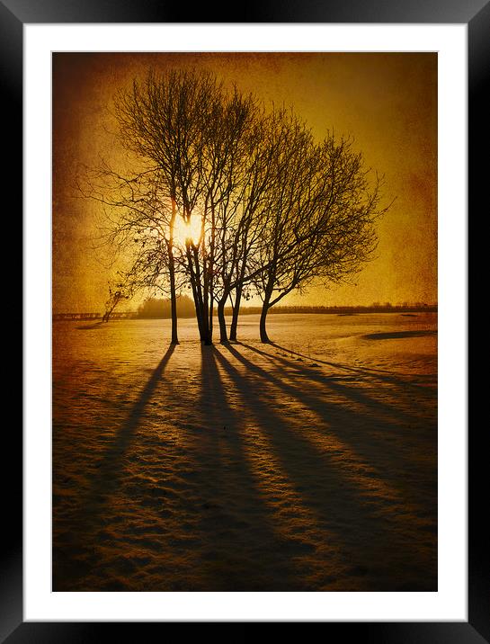  Winter Morning Framed Mounted Print by Svetlana Sewell