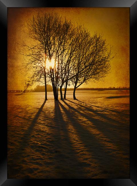  Winter Morning Framed Print by Svetlana Sewell