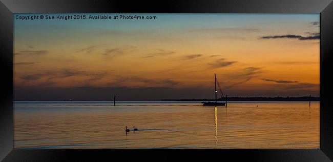 Golden sunset at Lepe Framed Print by Sue Knight