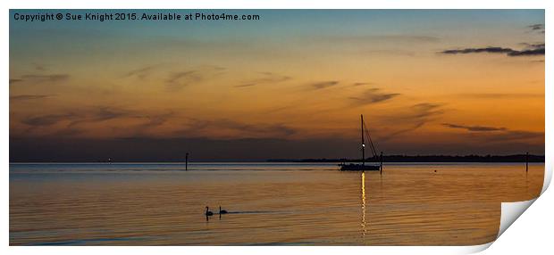 Golden sunset at Lepe Print by Sue Knight