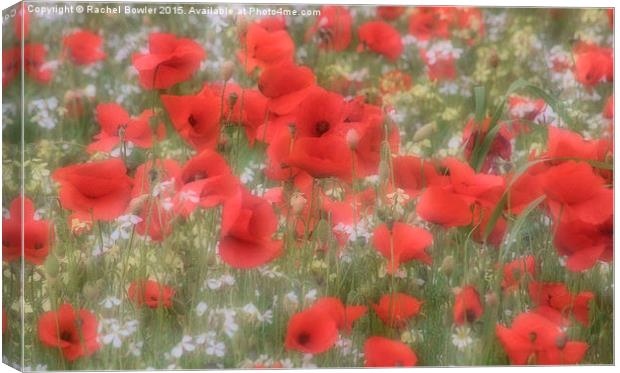 A Dreamy Sea of Red Canvas Print by RJ Bowler