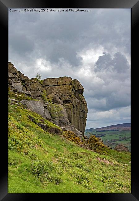 Cow and Calf on Ilkley Moor Framed Print by Neil Vary