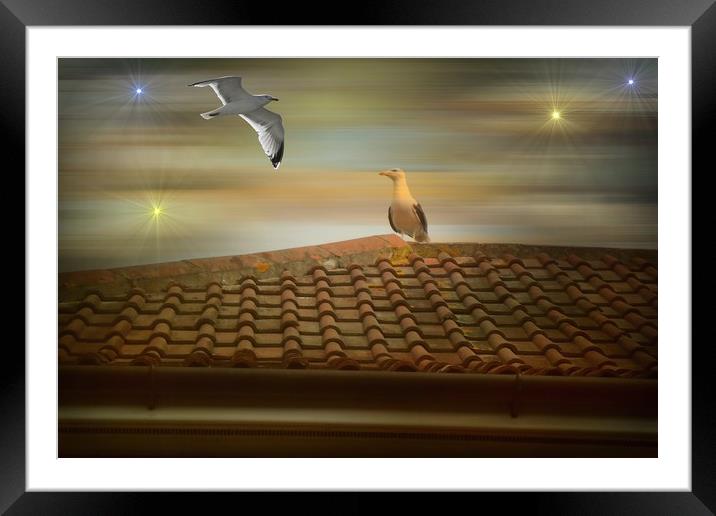 King of the Castle!  Framed Mounted Print by Heather Goodwin