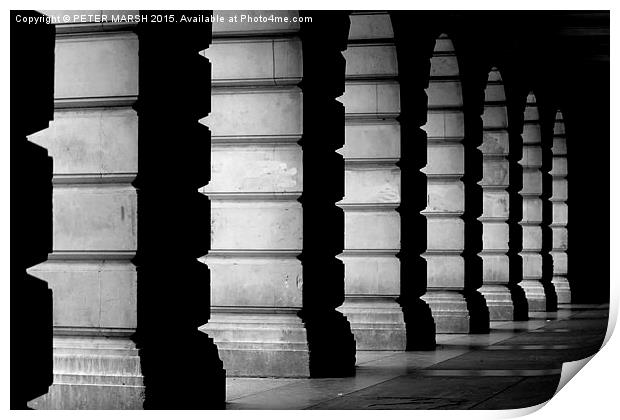 Columns in shadow Print by PETER MARSH