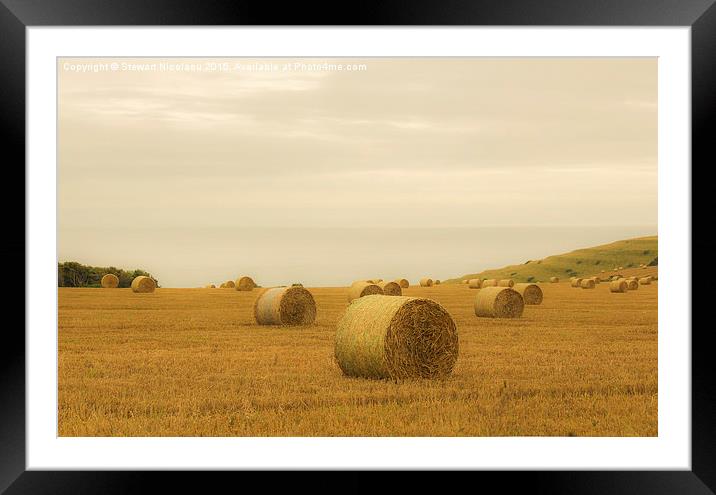 The Bales at St Aldhelm, Dorset Framed Mounted Print by Stewart Nicolaou