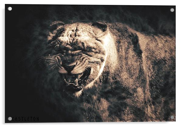  Roar Acrylic by Castleton Photographic