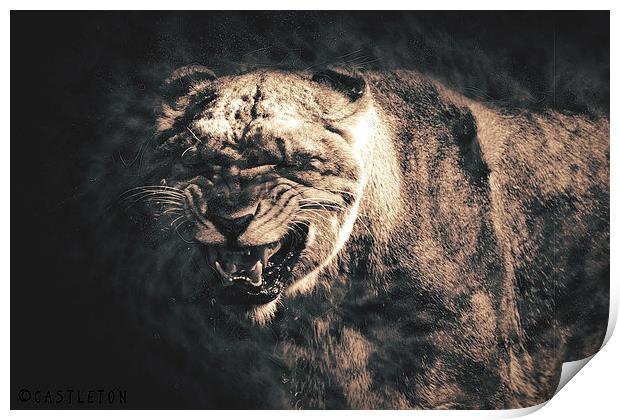  Roar Print by Castleton Photographic