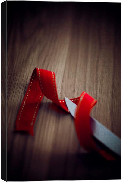  Red Ribbon Canvas Print by Svetlana Sewell