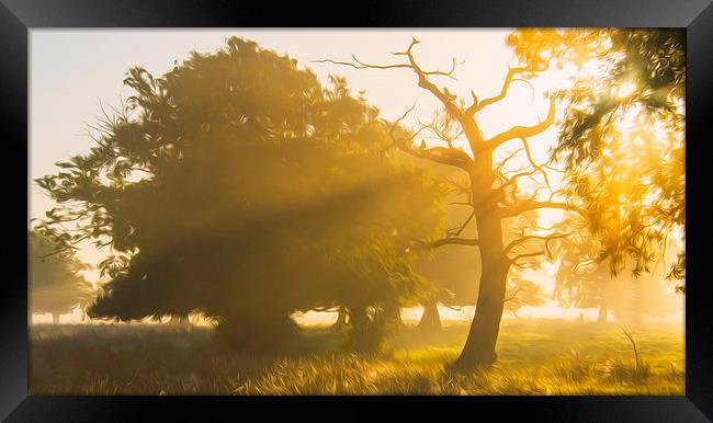  Morning World Framed Print by Clive Eariss