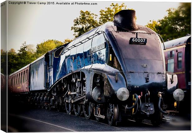 60007 Sir Nigel Gresley Canvas Print by Trevor Camp