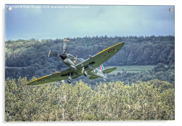  Supermarine Spitfire LF Mk XVIe TD248 Acrylic by Nigel Bangert