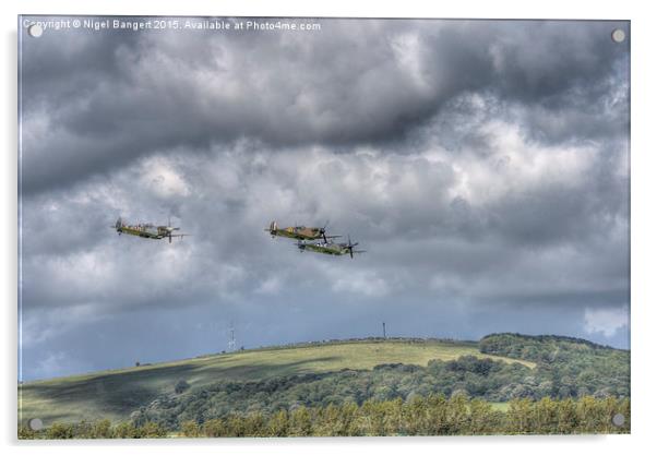  Battle of Britain Flypast  Acrylic by Nigel Bangert