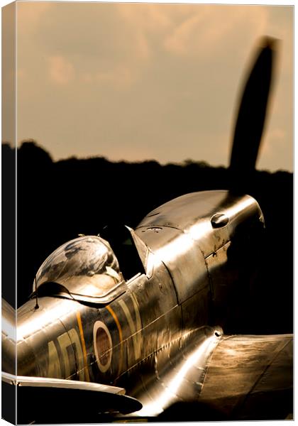 Spitfire TE311 sunlight Canvas Print by J Biggadike