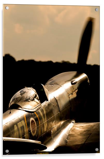 Spitfire TE311 sunlight Acrylic by J Biggadike