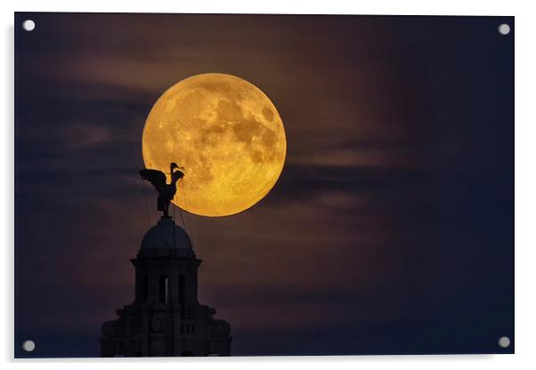  Liverpool super moon Acrylic by Rob Lester