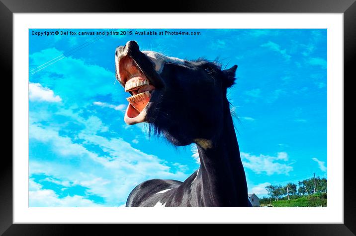   neigh lad Framed Mounted Print by Derrick Fox Lomax