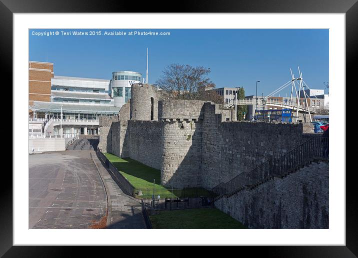 West Quay Southampton Walls  Framed Mounted Print by Terri Waters