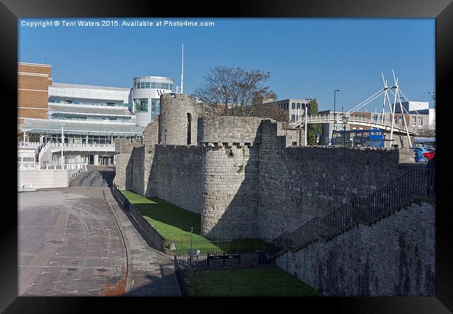 West Quay Southampton Walls  Framed Print by Terri Waters