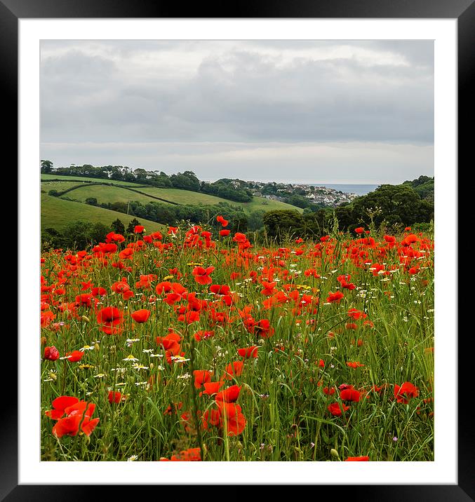  Poppy view Framed Mounted Print by David Martin