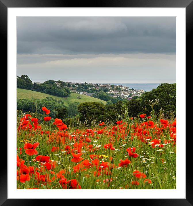  Poppy view 2 Framed Mounted Print by David Martin