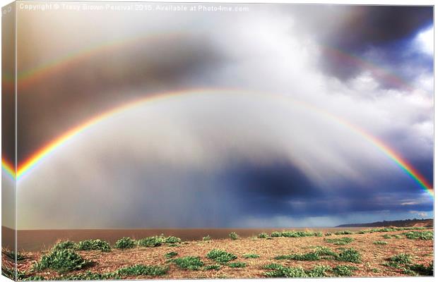 Under the Rainbow Canvas Print by Tracy Brown-Percival