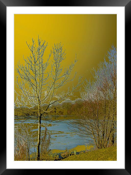 Icy lake under a golden sky Framed Mounted Print by Chris Day