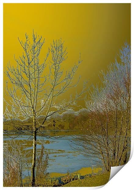 Icy lake under a golden sky Print by Chris Day