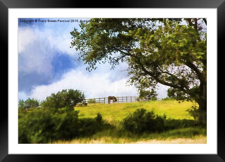  Horse on the Hill Framed Mounted Print by Tracy Brown-Percival