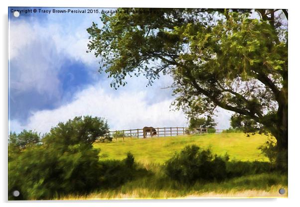  Horse on the Hill Acrylic by Tracy Brown-Percival