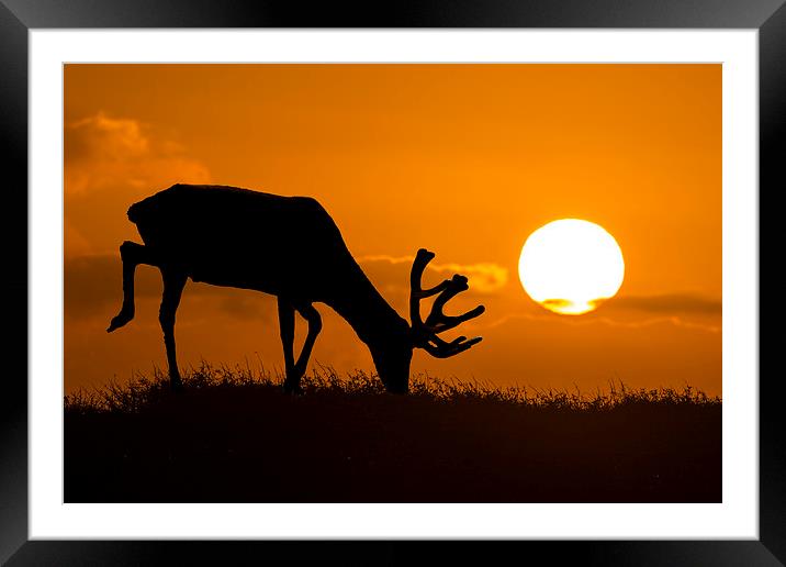 wild sunset Framed Mounted Print by Kelvin Rumsby