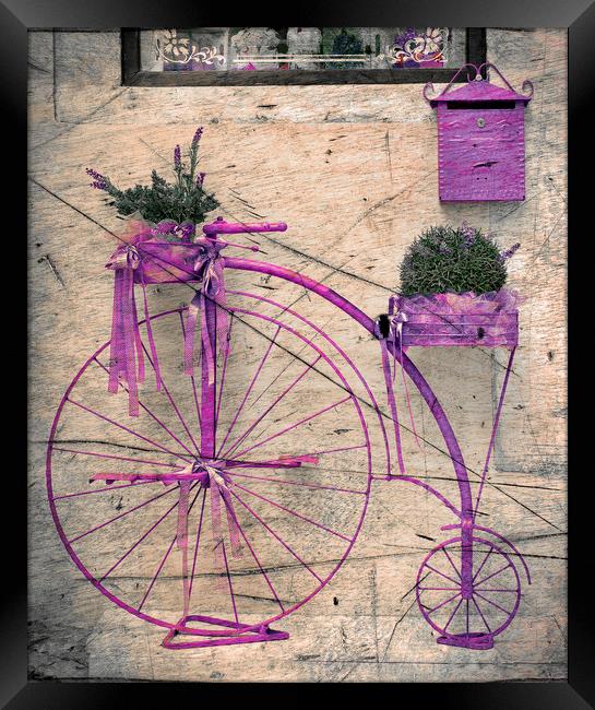  Lavender Bicycle  Framed Print by Svetlana Sewell