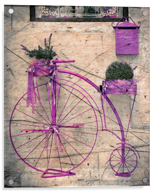  Lavender Bicycle  Acrylic by Svetlana Sewell