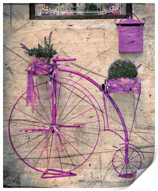  Lavender Bicycle  Print by Svetlana Sewell