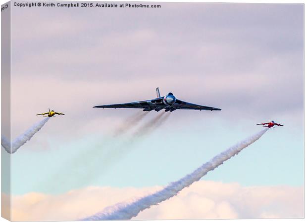  Vulcan and Gnat Pair Canvas Print by Keith Campbell