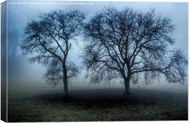 trees in the mist Canvas Print by Jo Beerens