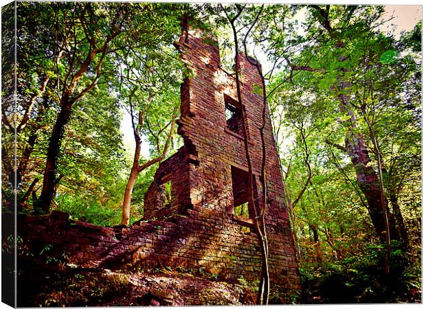  ruins of the mill Canvas Print by Derrick Fox Lomax