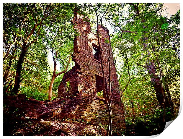  ruins of the mill Print by Derrick Fox Lomax