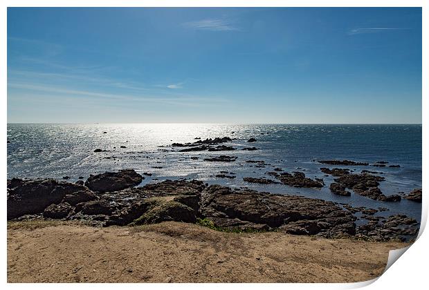 Lizard Point Cornwall Print by Brian Roscorla