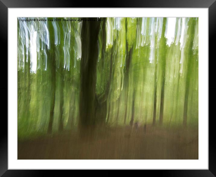 Wandering in the woodland Framed Mounted Print by Debbie Cox