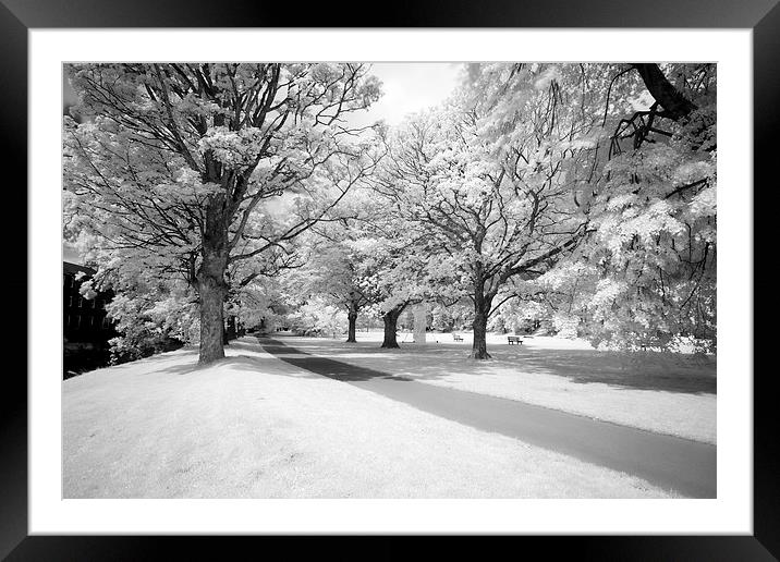  Fitz park Keswick Cumbria Framed Mounted Print by Tony Bates