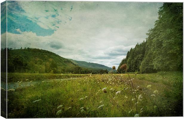 Fall is In the Air Canvas Print by Belinda Greb