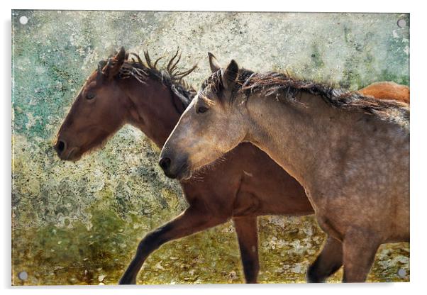  Running Free - Pryor Mustangs Acrylic by Belinda Greb