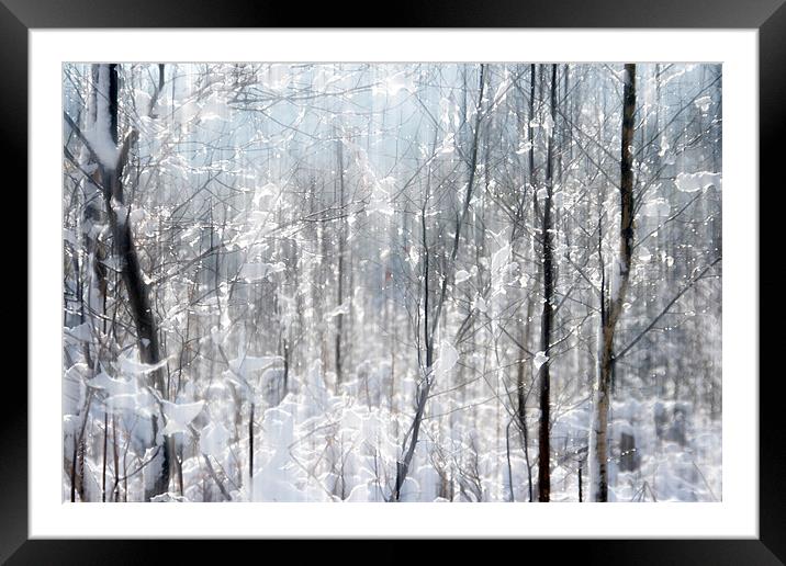 Sparkles in the Snow Framed Mounted Print by Ann Garrett