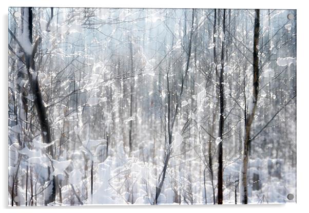 Sparkles in the Snow Acrylic by Ann Garrett