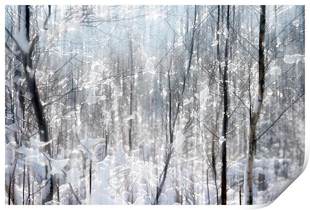 Sparkles in the Snow Print by Ann Garrett