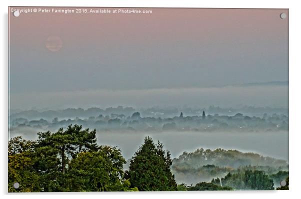  Morning Mist Acrylic by Peter Farrington