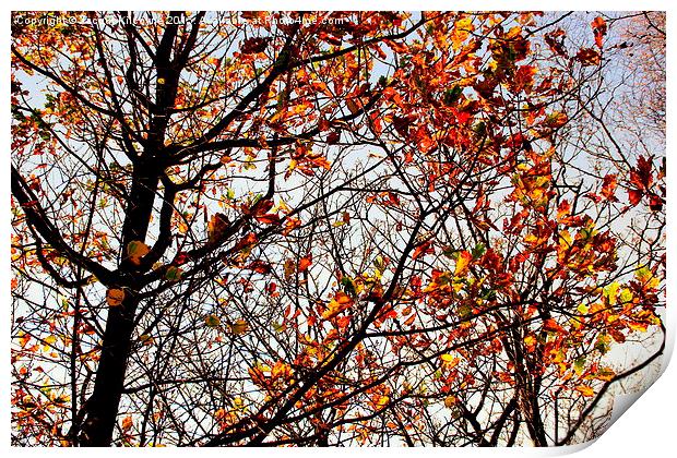  Shades of Autumn Print by Jacqui Kilcoyne